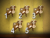Snapshot Five Cows Image